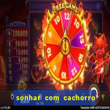 sonhar com cachorro cruzando jogo do bicho